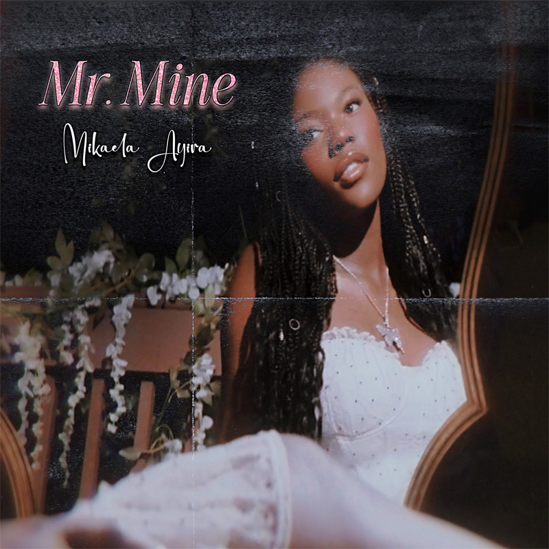 Mr. Mine Single